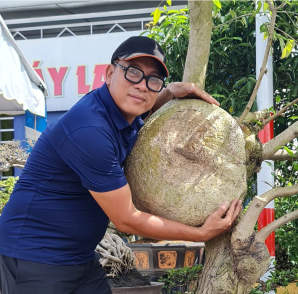 Avatar shop ĐỖ TRỰC BONSAI