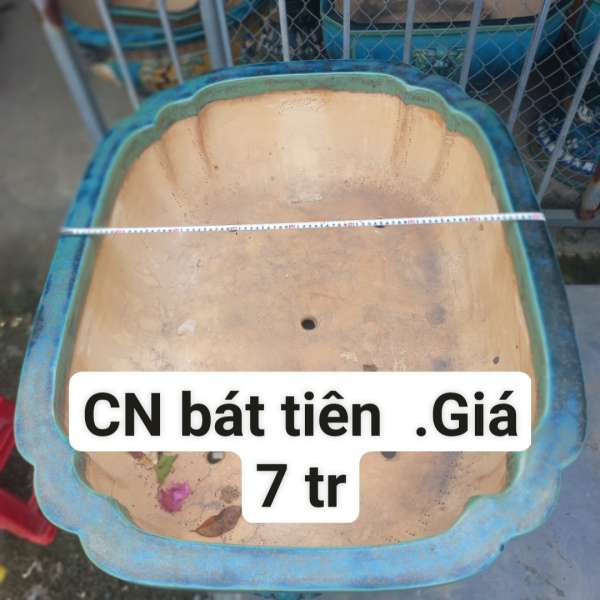 Chậu Gốm Bát Tiên Đồng Nai [Cao 30cm, Rộng 101cm, Sâu 81cm] || NVTT.00015 - 0